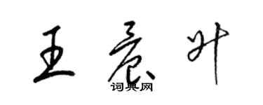 梁錦英王晨升草書個性簽名怎么寫