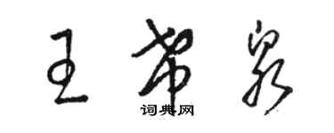 駱恆光王希泉草書個性簽名怎么寫