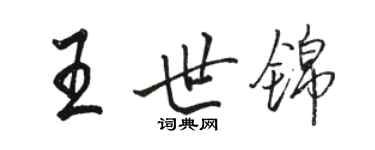 駱恆光王世錦行書個性簽名怎么寫