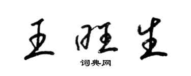 梁錦英王旺生草書個性簽名怎么寫