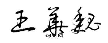 曾慶福王華魏草書個性簽名怎么寫