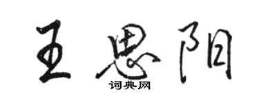 駱恆光王思陽行書個性簽名怎么寫