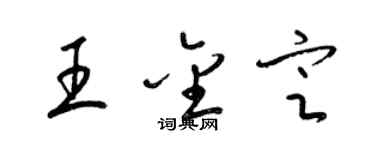 梁錦英王金定草書個性簽名怎么寫