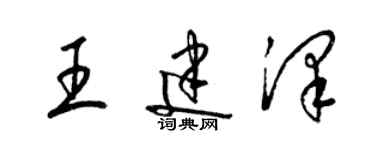 梁錦英王建澤草書個性簽名怎么寫