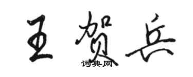 駱恆光王賀兵行書個性簽名怎么寫