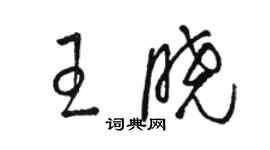 駱恆光王曉草書個性簽名怎么寫