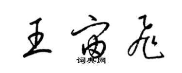 梁錦英王宙飛草書個性簽名怎么寫