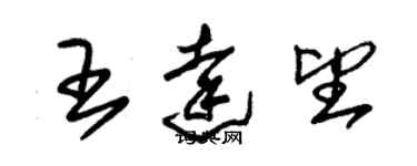 朱錫榮王達望草書個性簽名怎么寫