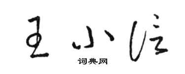 駱恆光王小信草書個性簽名怎么寫