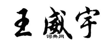 胡問遂王威宇行書個性簽名怎么寫