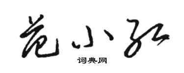 駱恆光范小紅草書個性簽名怎么寫