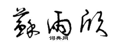 曾慶福蘇雨欣草書個性簽名怎么寫
