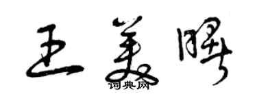 曾慶福王美曙草書個性簽名怎么寫