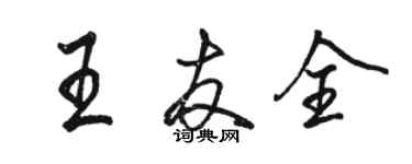 駱恆光王友全行書個性簽名怎么寫