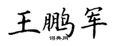 丁謙王鵬軍楷書個性簽名怎么寫