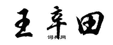 胡問遂王辛田行書個性簽名怎么寫