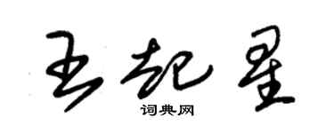 朱錫榮王起星草書個性簽名怎么寫