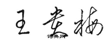 駱恆光王貴梅草書個性簽名怎么寫