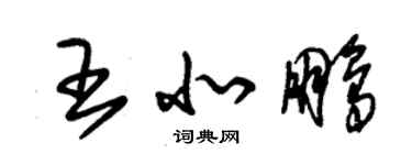 朱錫榮王北鵬草書個性簽名怎么寫