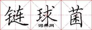 田英章鏈球菌楷書怎么寫