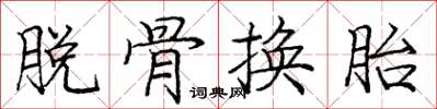 龐中華脫骨換胎楷書怎么寫