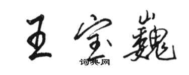 駱恆光王寶巍行書個性簽名怎么寫