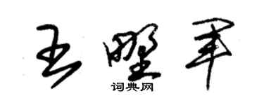 朱錫榮王野軍草書個性簽名怎么寫