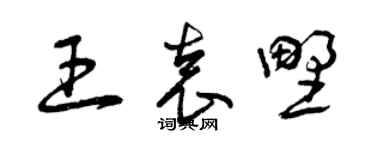 曾慶福王袁野草書個性簽名怎么寫