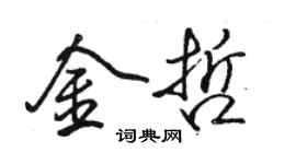 駱恆光金哲行書個性簽名怎么寫