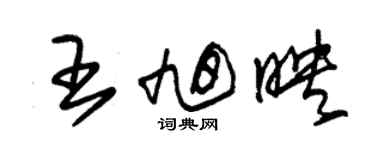 朱錫榮王旭映草書個性簽名怎么寫