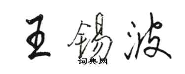 駱恆光王錫波行書個性簽名怎么寫