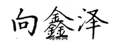 丁謙向鑫澤楷書個性簽名怎么寫