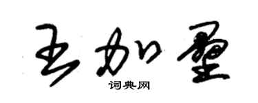 朱錫榮王加壘草書個性簽名怎么寫