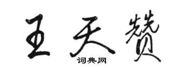 駱恆光王天贊行書個性簽名怎么寫