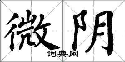 翁闓運微陰楷書怎么寫