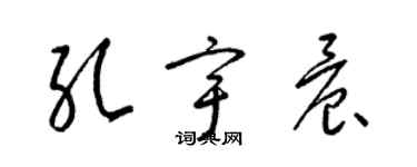 梁錦英孔宇晨草書個性簽名怎么寫