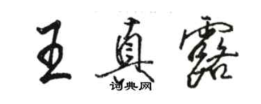 駱恆光王真露行書個性簽名怎么寫