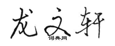 駱恆光龍文軒行書個性簽名怎么寫