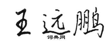 駱恆光王遠鵬行書個性簽名怎么寫