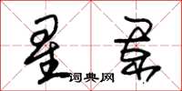 朱錫榮星闌草書怎么寫