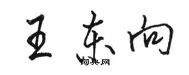 駱恆光王東向行書個性簽名怎么寫