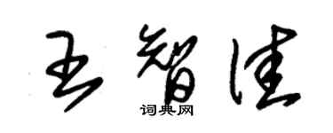 朱錫榮王智佳草書個性簽名怎么寫