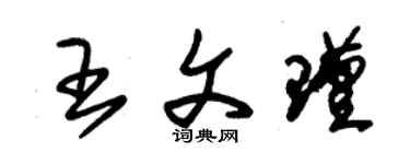 朱錫榮王文瑾草書個性簽名怎么寫