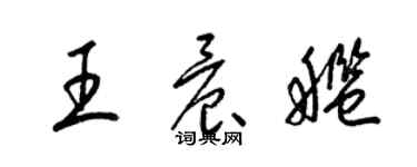 梁錦英王晨艦草書個性簽名怎么寫