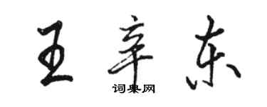 駱恆光王辛東行書個性簽名怎么寫