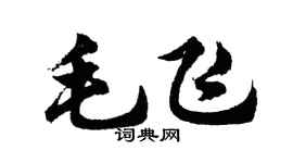 胡問遂毛飛行書個性簽名怎么寫