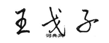 駱恆光王戈子行書個性簽名怎么寫