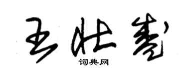 朱錫榮王壯盛草書個性簽名怎么寫