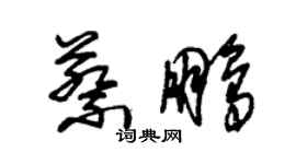 朱錫榮蔡鵬草書個性簽名怎么寫