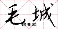 毛城怎么寫好看